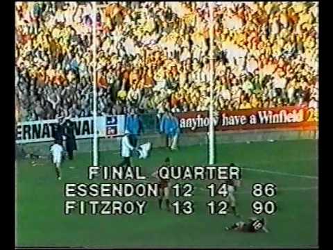 VFL 1981 Elimination Final - Essendon v Fitzroy