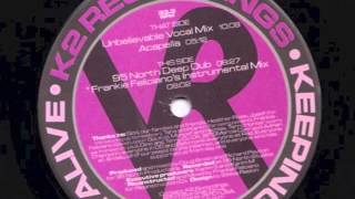 95 North Ft Heather Rose -  Unbelievable (95 North Deep Dub)