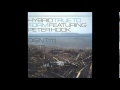 Hybrid & Peter Hook feat. Adam Taylor - True To Form