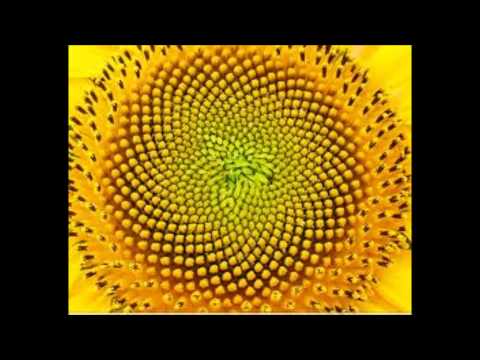 Capital STEEZ ft. Junior Bell - M.I.A (Mission Impossible Accomplished)