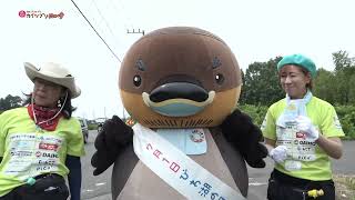 2026/8/11放送・知ったかぶりカイツブリにゅーす