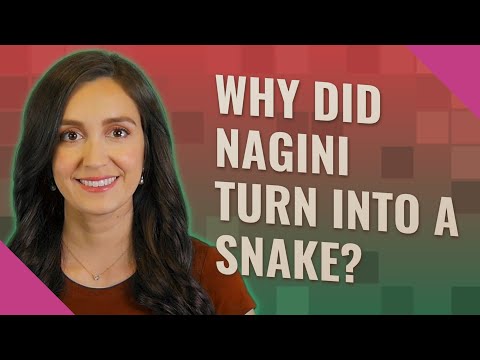Why did nagini turn into a snake?