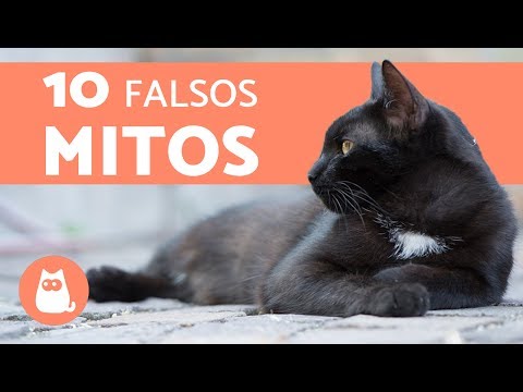 8 falsos mitos sobre higiene 8 falsos mitos sobre higiene