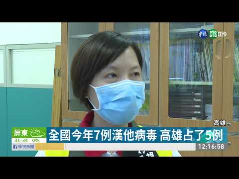 全國今年7例漢他病毒 高雄占了5例