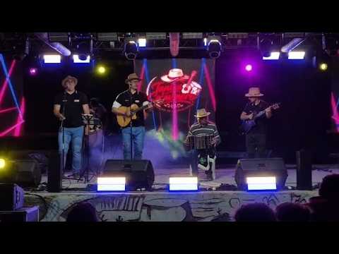 JUAN DÍAZ Y SU BANDONEÓN SALAVINERO / FESTIVAL DEL TANICU #2026 #folclore #santiagodelestero 