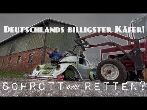 Deutschlands billigster Käfer - SCHROTT oder RETTEN ? | HARDMOOD