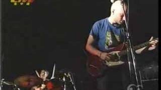 Mock Orange - Driving Day