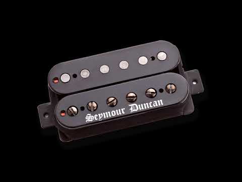 EMG 81 vs Seymour Duncan Black WInter   ( BRIDGE PICKUPS )