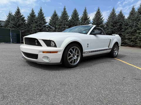 2009 Shelby GT500 (CC-1946106) for sale in North Andover, Massachusetts