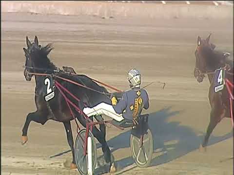 Trotto 31/12/2019 - 5ª corsa