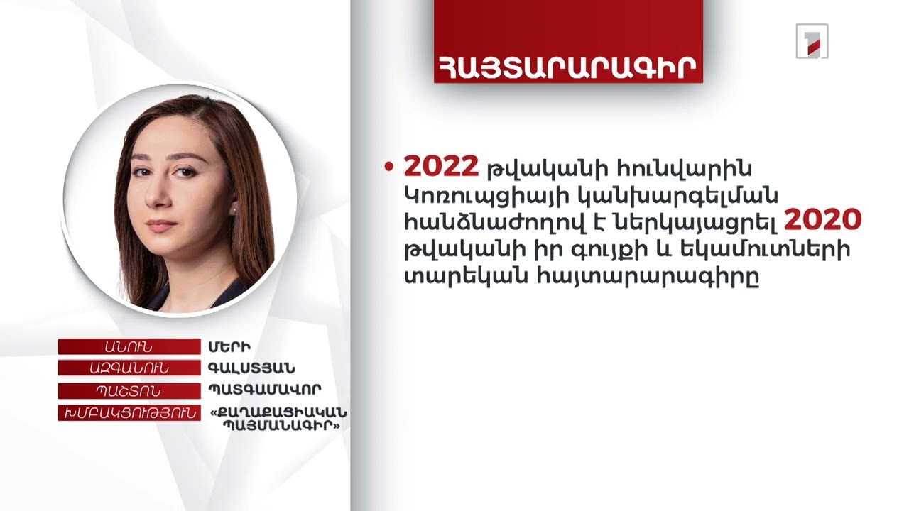 400 հազար դրամ. պատգամավոր Մերի Գալստյանը միայն դրամական միջոցներ է հայտարարագրել