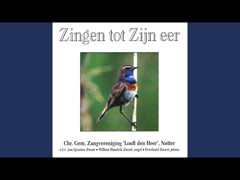 Psalm 56, vers 5 & 6