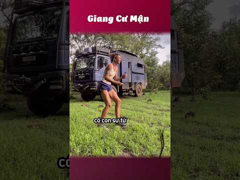 Tóm lại con nào là con sư tử 🦁 #giangcuman