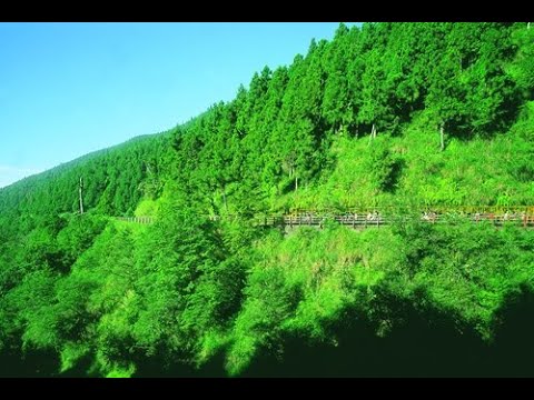 太平山國家森林遊樂區蹦蹦車站 - 全景