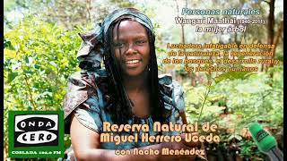 Miniatura de YouTube para: Wangari Maathai (1940-2011)