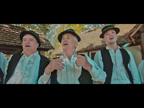 Ilija Babić, MPS Babogreci ft  Rockoko Orchestra  - Na stanu sam gazda Official 4k video