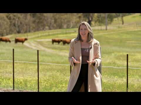 566 Spring Gully Road, Spring Gully, SA 5453, 5 Bedrooms, 2 Bathrooms, House