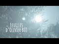 Publicité Le Petit Marseillais
