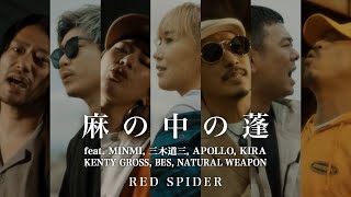 RED SPIDER - 麻の中の蓬 feat. MINMI, 三木道三, APOLLO, KIRA, KENTY GROSS, BES & NATURAL WEAPON (MUSIC VIDEO)