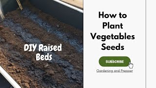 How to plant Vegetables Seeds in Raised Beds Garden | Gardening and prepper