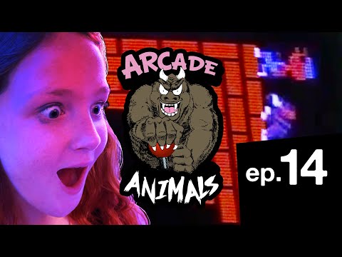 Arcade Animals | Ep. 14 👾 Zyler Hicks vs Delilah Hooker | Vintage Arcade Quarter Dropping Madness!