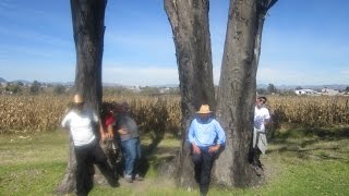 preview picture of video 'Hacienda de Dolores Enyege'