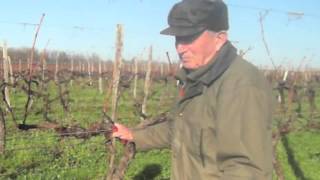 preview picture of video 'Raymond Bossis et son rang de vigne'