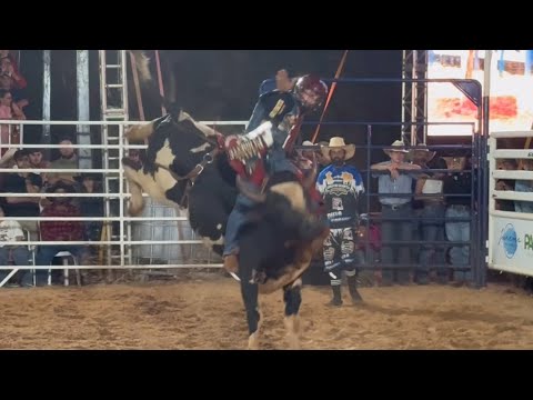 Rodeio e shows em Nova Tebas reúne milhares de pessoas no segundo dia de festividades
