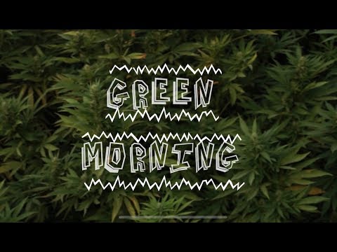 Astola&Ratón "Green Morning"