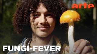 Mushroom Boom - Warum sind Pilze in? | Twist | ARTE
