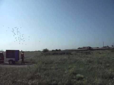 COLUMBODROM HONEST RACE - ANTRENAMENT 4  -- 5Km