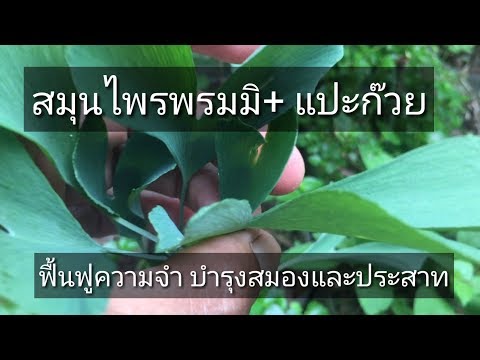 1. เพิ่มความแรง นวดยาโป๊