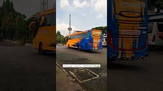 Download lagu EFISIENSI SINGLE GLASS REBORN || JOGJA - PURWOKERTO #shorts #huntingbus #efisiensi mp3 Download lagu EFISIENSI SINGLE GLASS REBORN || JOGJA - PURWOKERTO #shorts #huntingbus #efisiensi mp3