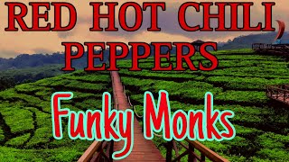 Red Hot Chili Peppers - Funky Monks ( Lyrics )