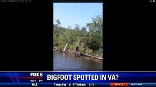 Bigfoot spotted in Virginia? | FOX 5 DC video