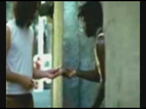 Sekk - Peter l'ecran