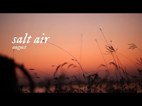 Taylor Swift - salt air (Lyric Video) | folklore: remastered