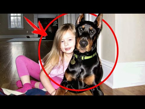 This family adopted a DOBERMAN from the shelter, and after 5 days, the parents heard a SCREAM