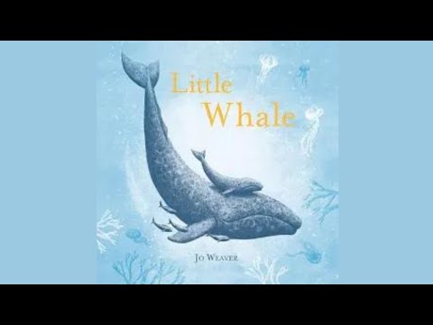 Little Whale By Jo Weaver Kids Read-Aloud