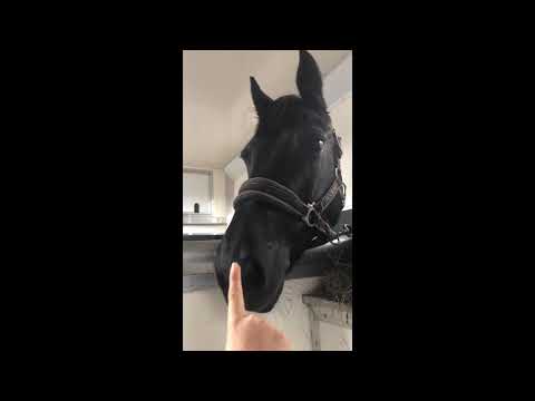 Goodbye Magic 💔💔