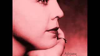 Adriana Calcanhoto - Esquadros