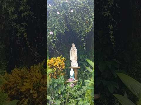 Gruta a Nuestra Señora de Lourdes.  Catedral de Alajuela