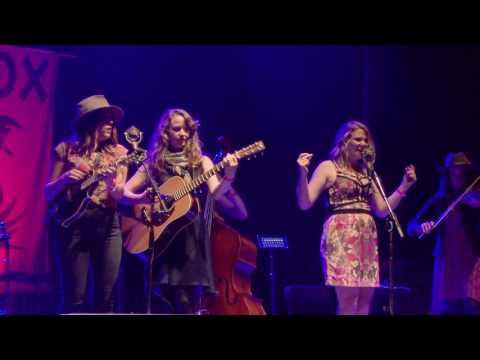 Della Mae "Shambles" July 17, 2015 Grey Fox Bluegrass Festival Oak Hill, NY