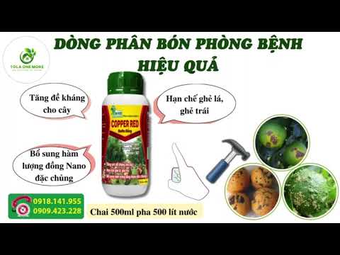 Cùng khám phá "COPPER RED" VUA ĐỀ KHÁNG của nhà One More