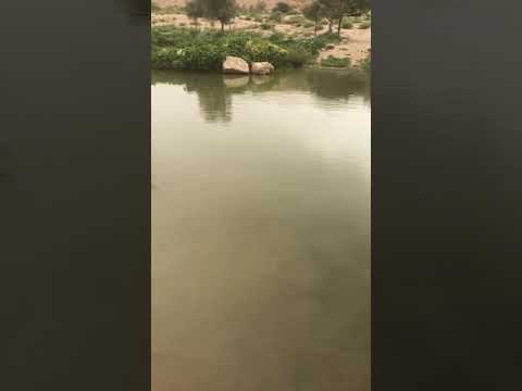 #KSAMemory 🇸🇦 from valley of Hanifa, video credit #AbdulKareem.