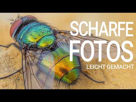 Pin-sharp macro photos – How to achieve perfect sharpness! (Macro photography, UltraHD, 4K)