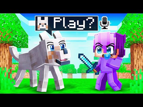 I Made Dogs Talk to Troll Baby Dash