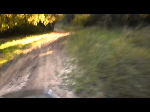 Prin Cris,Mures la o plimbare (2)