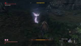 【実況】シラハギ練習【SEKIRO】