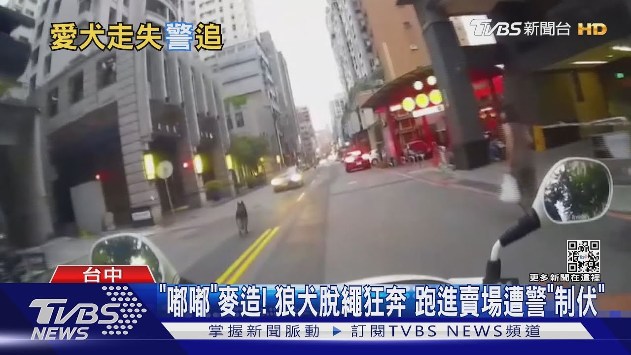 「嘟嘟」麥造! 狼犬脫繩狂奔 跑進賣場遭警「制伏」